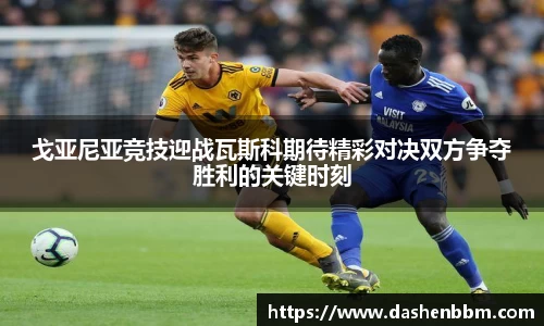 戈亚尼亚竞技迎战瓦斯科期待精彩对决双方争夺胜利的关键时刻